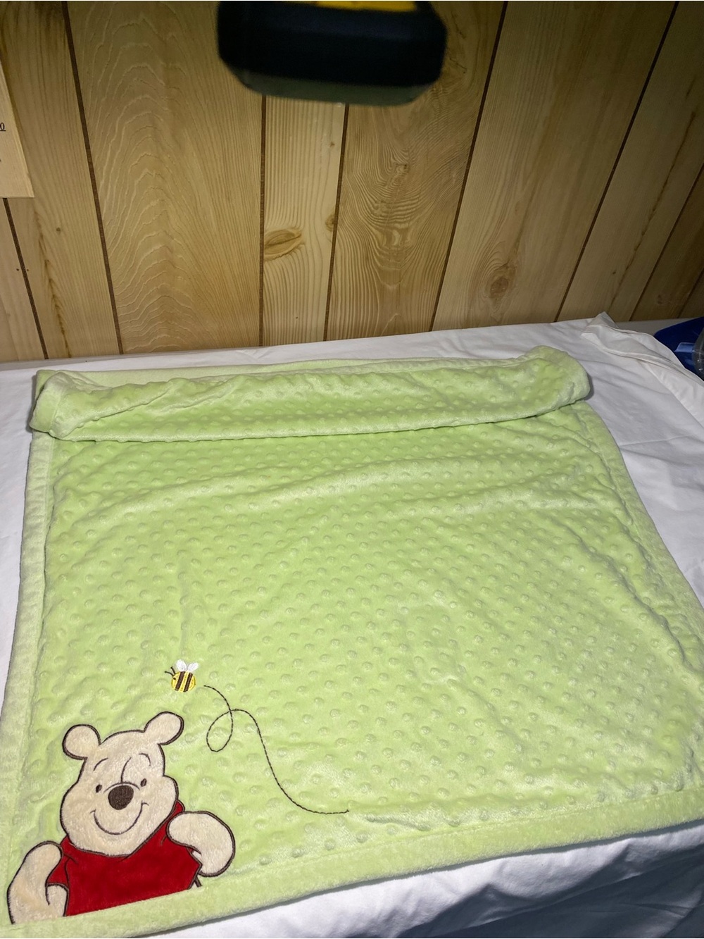 Disney Light Green Winnie the Pooh Plush Baby Throw with Bee Accent
